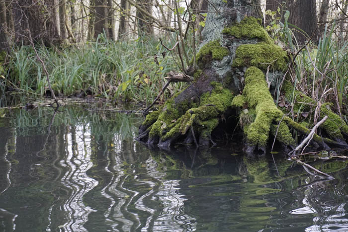 Abpaddeln im Spreewald - 2014_(043)