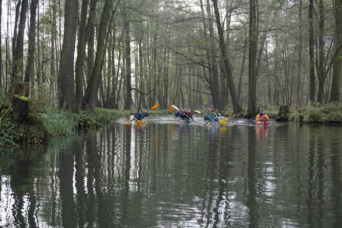 Abpaddeln im Spreewald - 2014_(045)