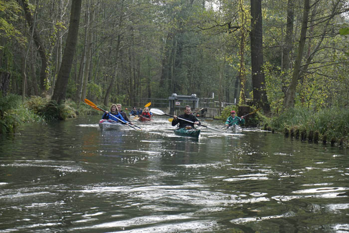 Abpaddeln im Spreewald - 2014_(049)