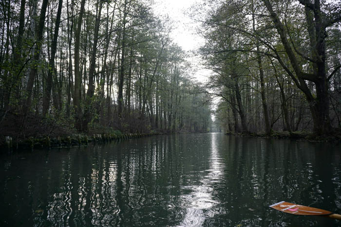 Abpaddeln im Spreewald - 2014_(052)