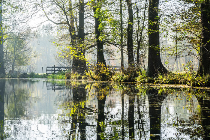 Abpaddeln_im_Spreewald-2015_(038)