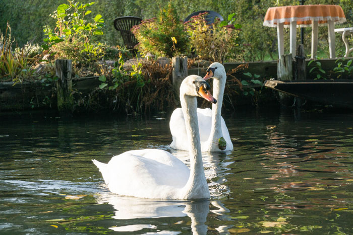 Abpaddeln_im_Spreewald-2015_(045)