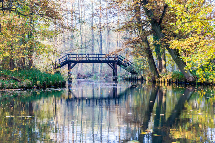 Abpaddeln_im_Spreewald-2015_(046)