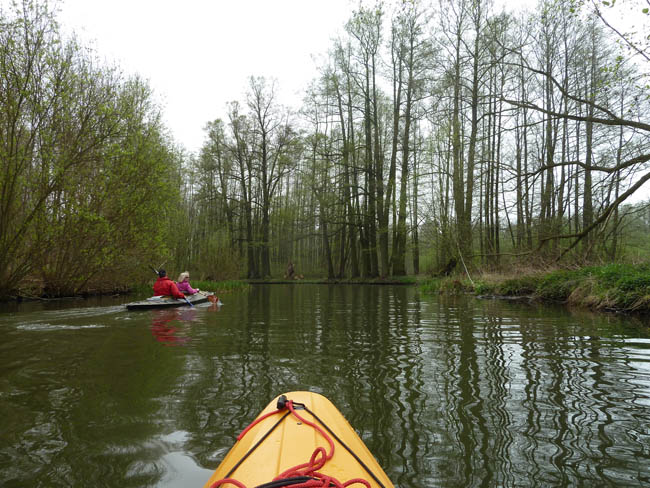 Anpaddeln im Spreewald - 2014_(56)