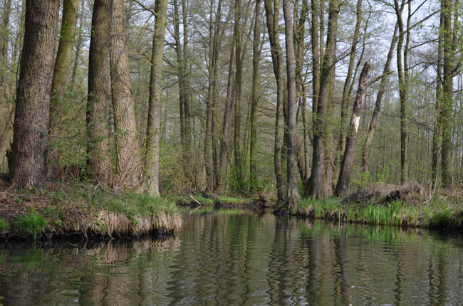 Anpaddeln im Spreewald - 2014_(63)