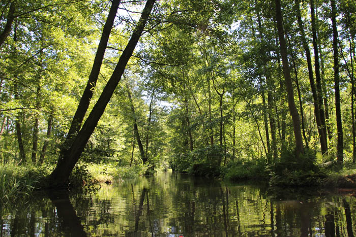 30.luebbenauer-spreewald-rundfahrt - 2014_(124)