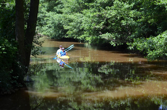 30.luebbenauer-spreewald-rundfahrt - 2014_(125)