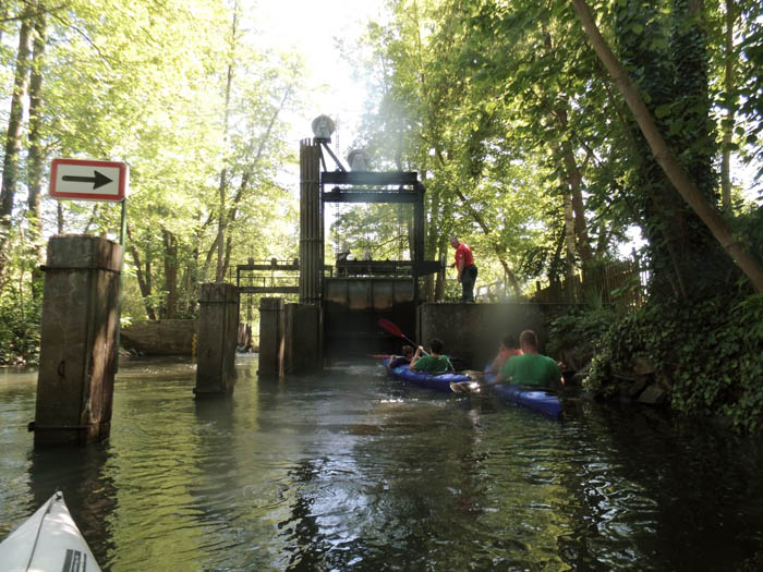 31.Luebbenauer-Spreewald-Rundfahrt_(256)