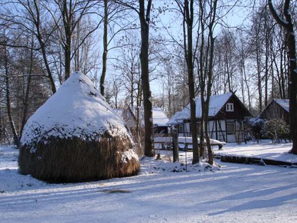 Winterimpressionen-Januar-2009-23